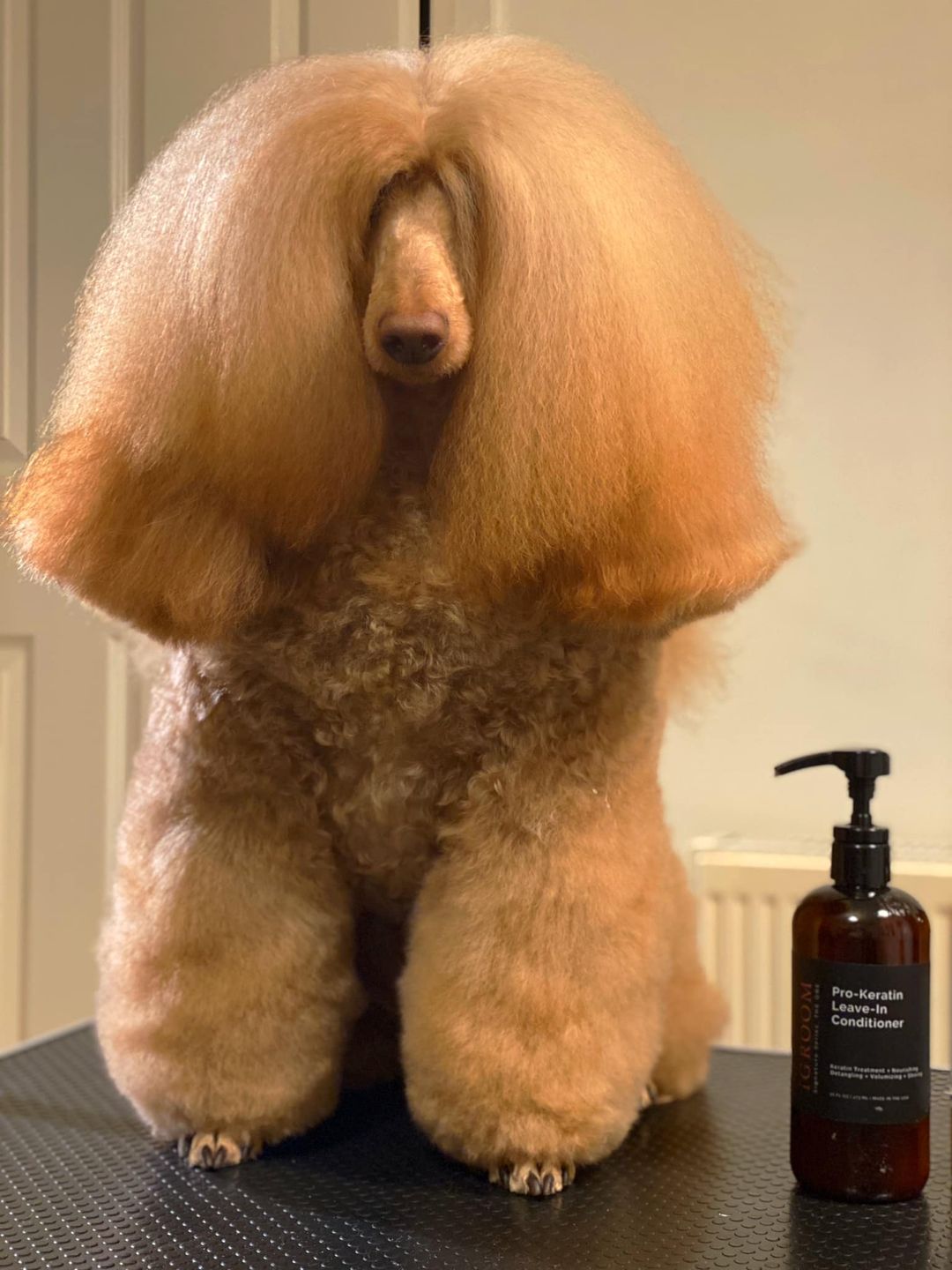 Pro-Keratin Leave-in Pet Conditioner