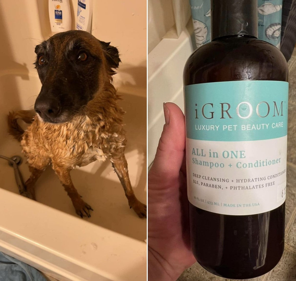 All-In-One Pet Shampoo + Conditioner