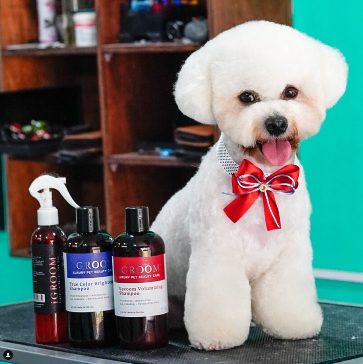 Silicone Free 3-1 Conditioning/Detangling Pet Spray