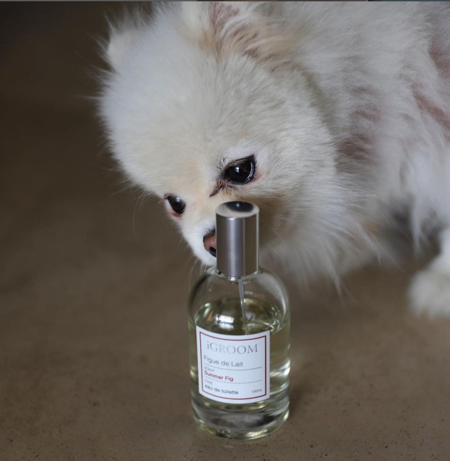 Figue de Lait Dog Perfume - Summer Fig Scent