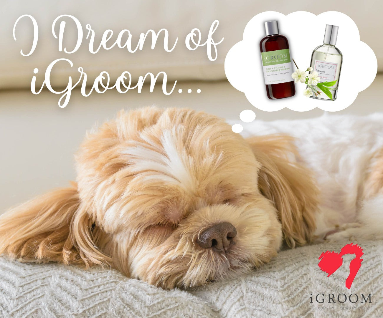 Argan + Vitamin E Moisturizing Pet Shampoo