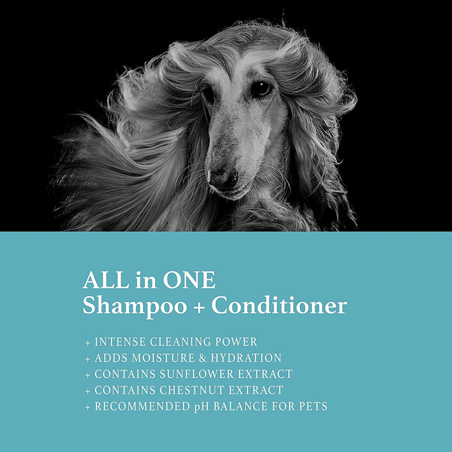 All-In-One Pet Shampoo + Conditioner