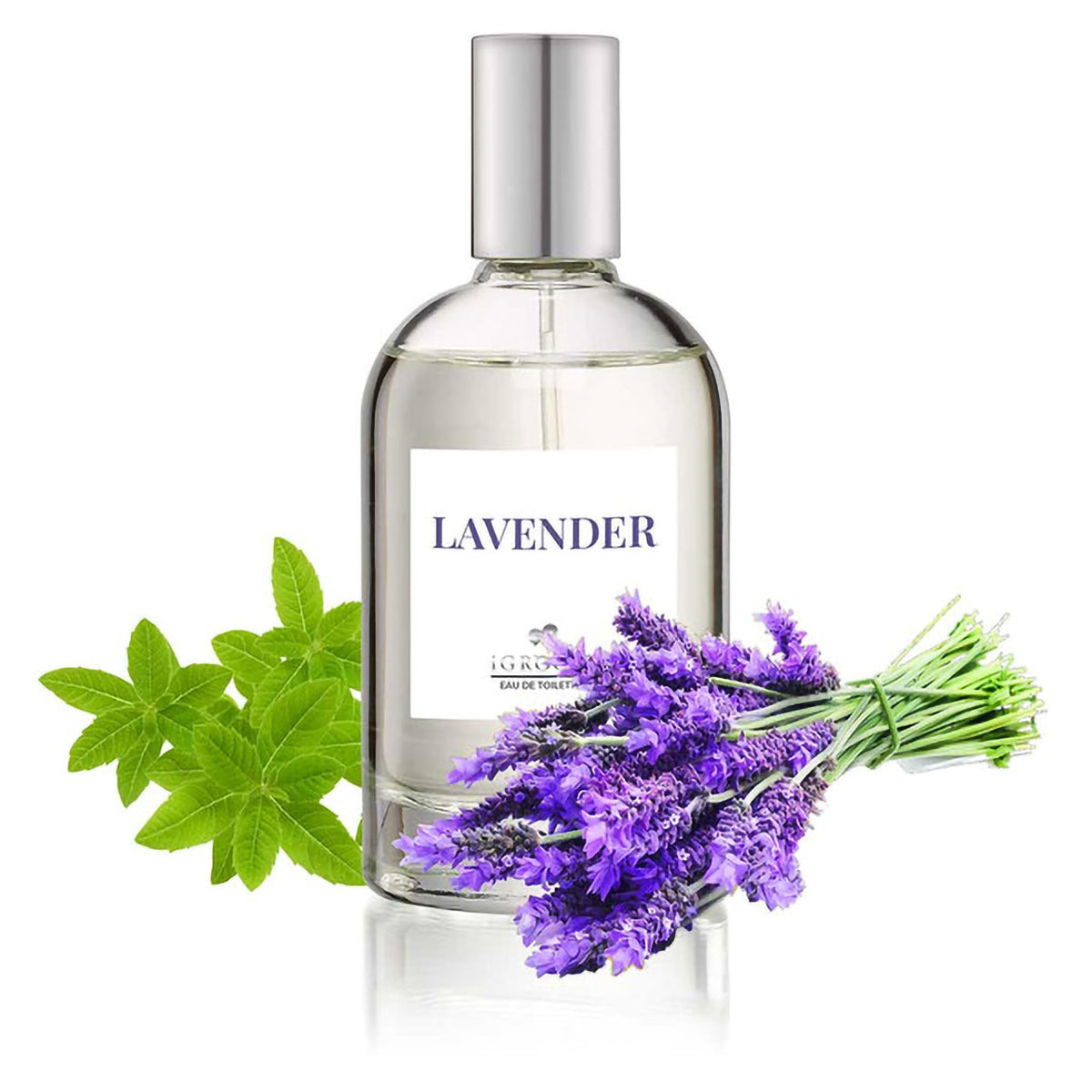 lavender and cotton flower perfume iGroom Lavender Pet Perfume 100ml