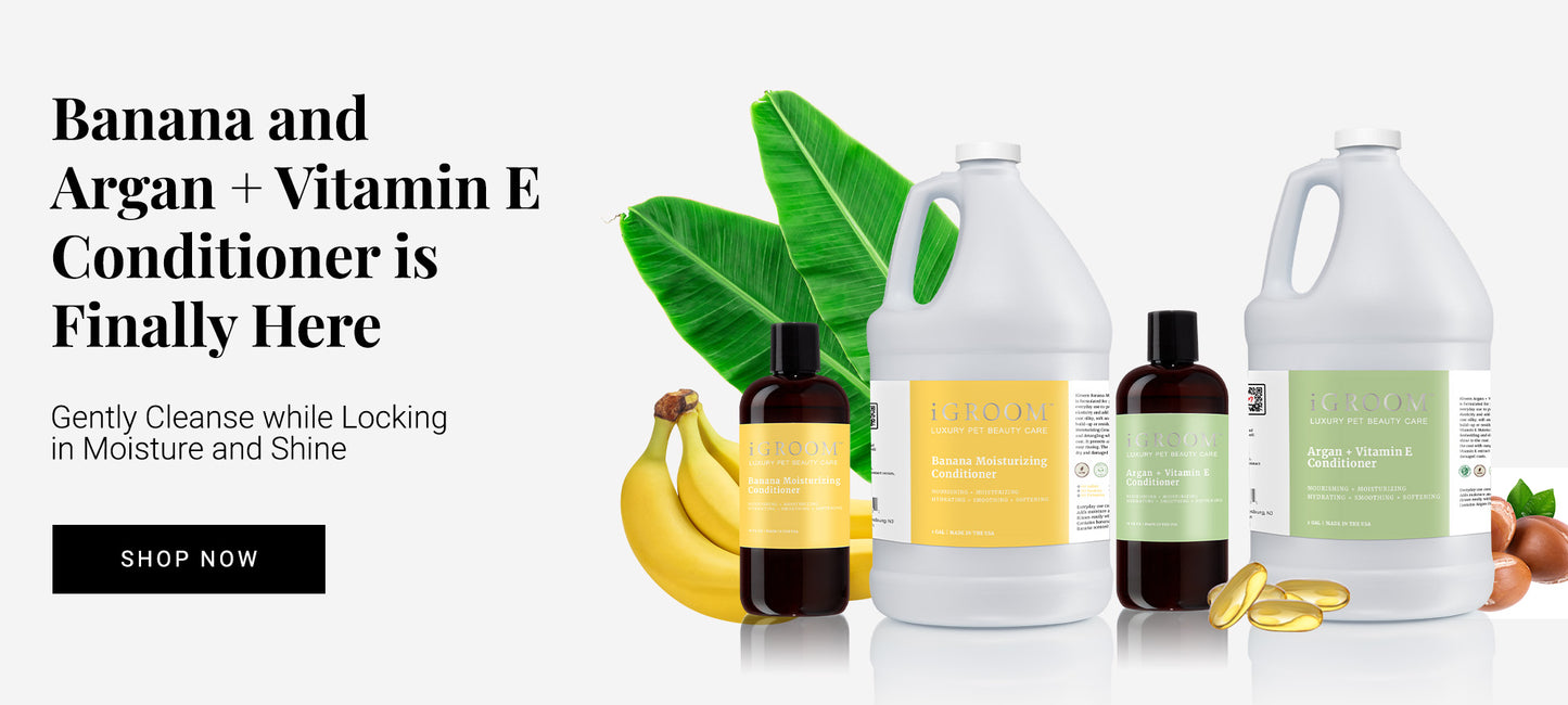 Igroom products best sale