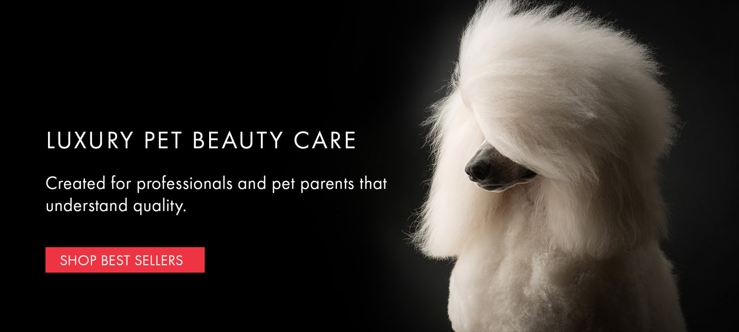 White dog with luxurious fur on a black background, promoting luxury pet beauty care.