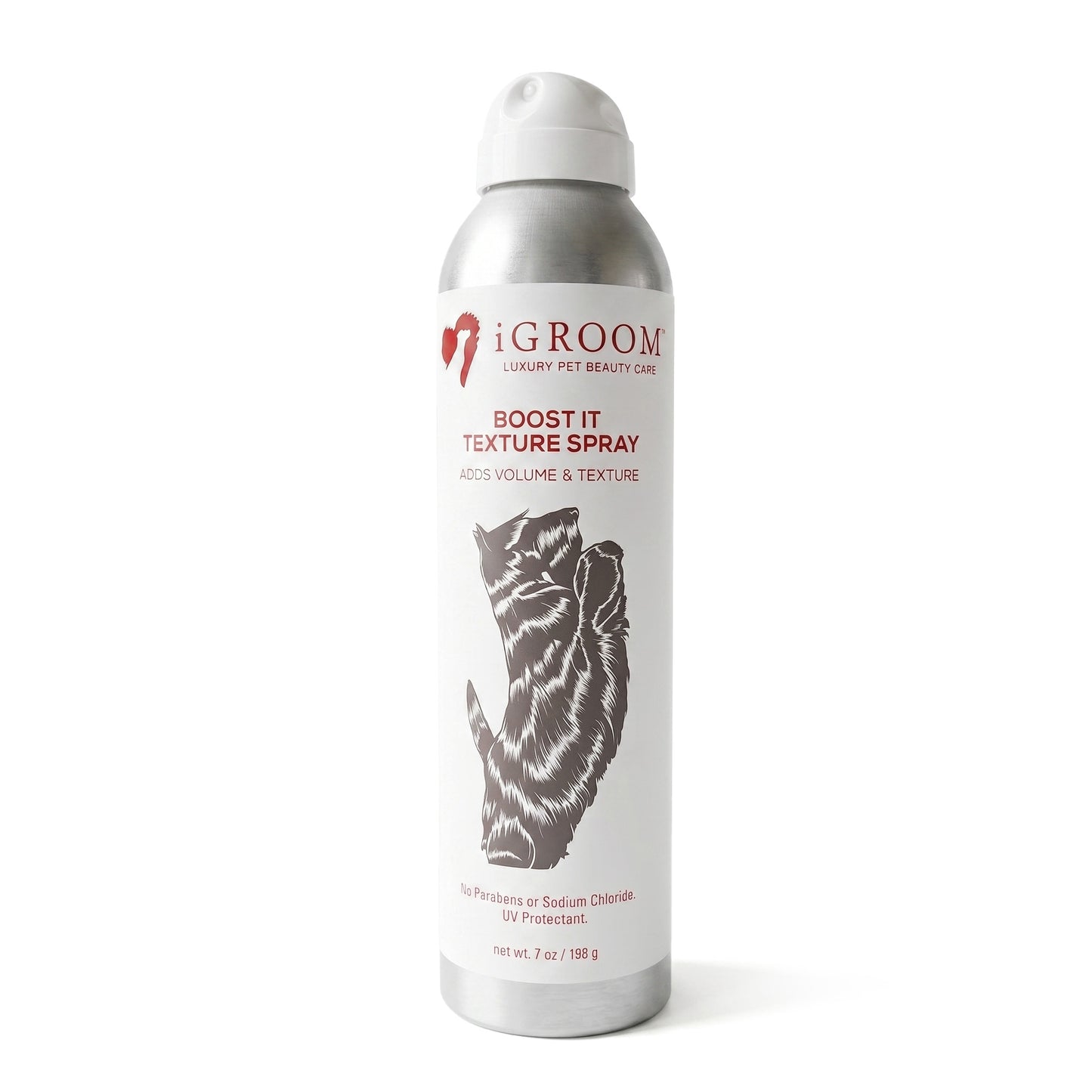 iGroom Boost It Texture Spray bottle on a white background
