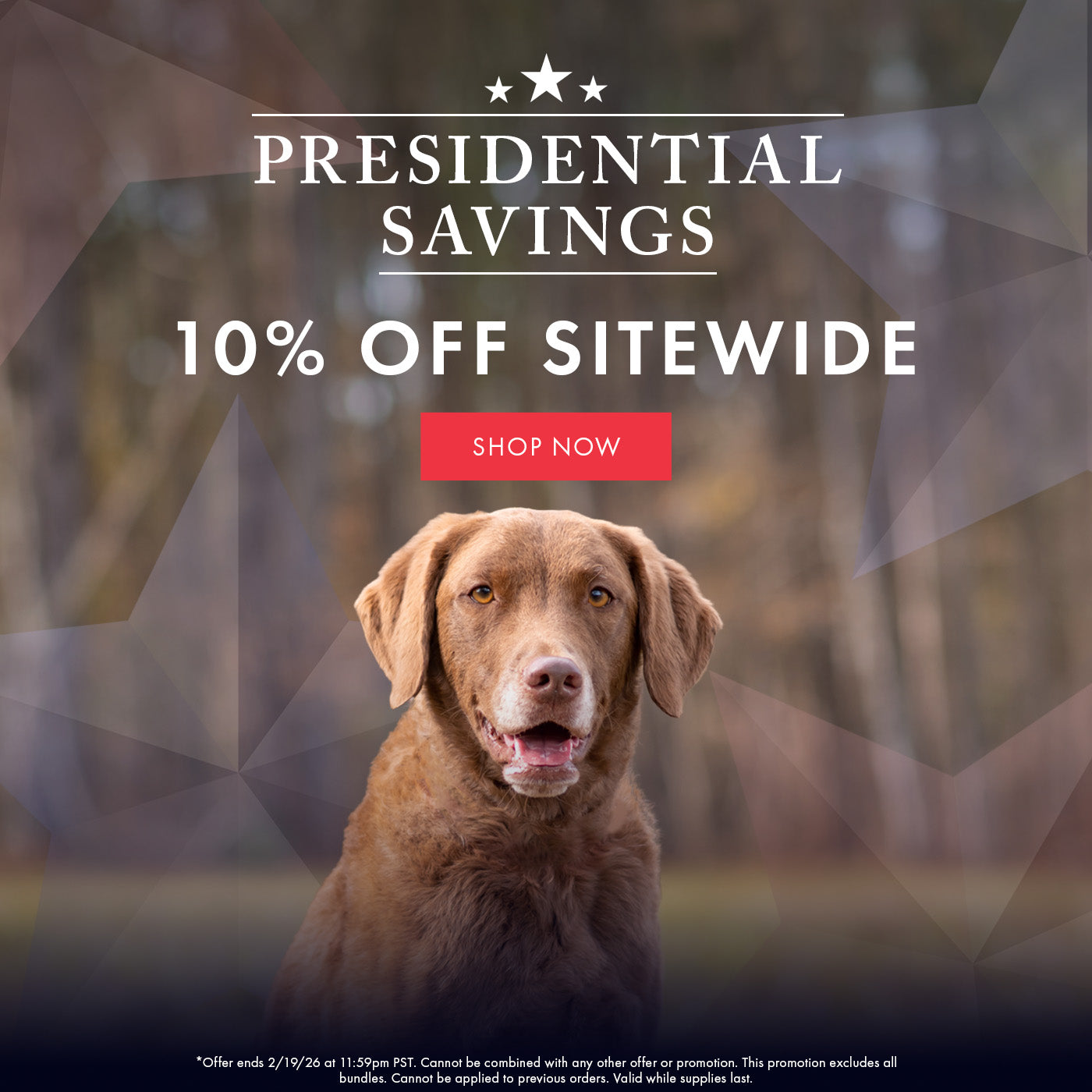 Promotional graphic with a dog in a forest, featuring text about presidential savings and a discount offer.