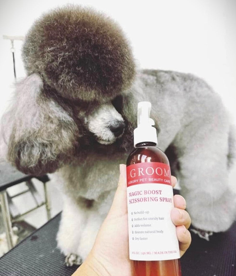 Magic Boost Scissoring Pet Spray