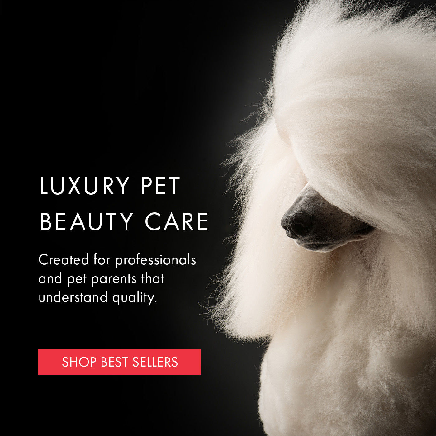 White dog with text about luxury pet beauty care on a black background