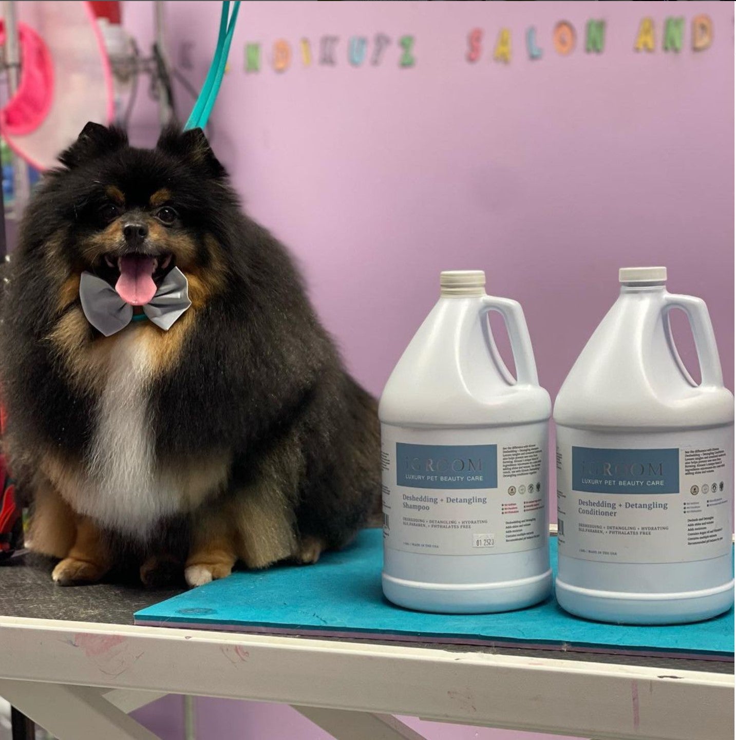 
                  
                    Deshedding + Detangling Pet Shampoo
                  
                