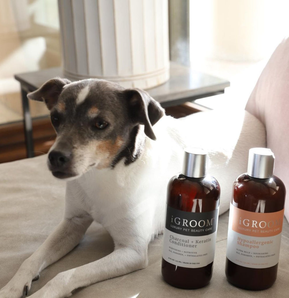 Hypoallergenic Shampoo for Pets iGroom