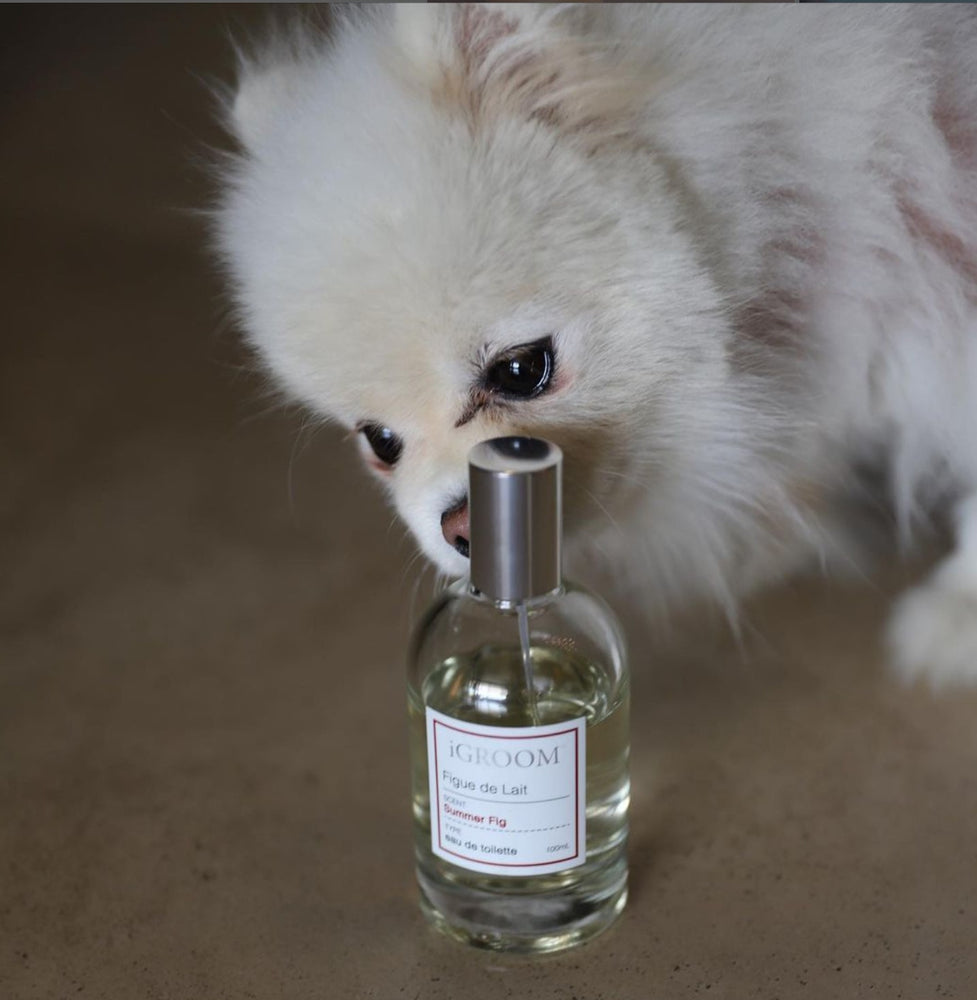 
                  
                    Figue de Lait Dog Perfume - Summer Fig Scent
                  
                