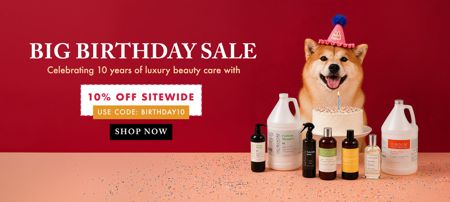 Dog with birthday hat surrounded by pet care products on a red background with sale text.