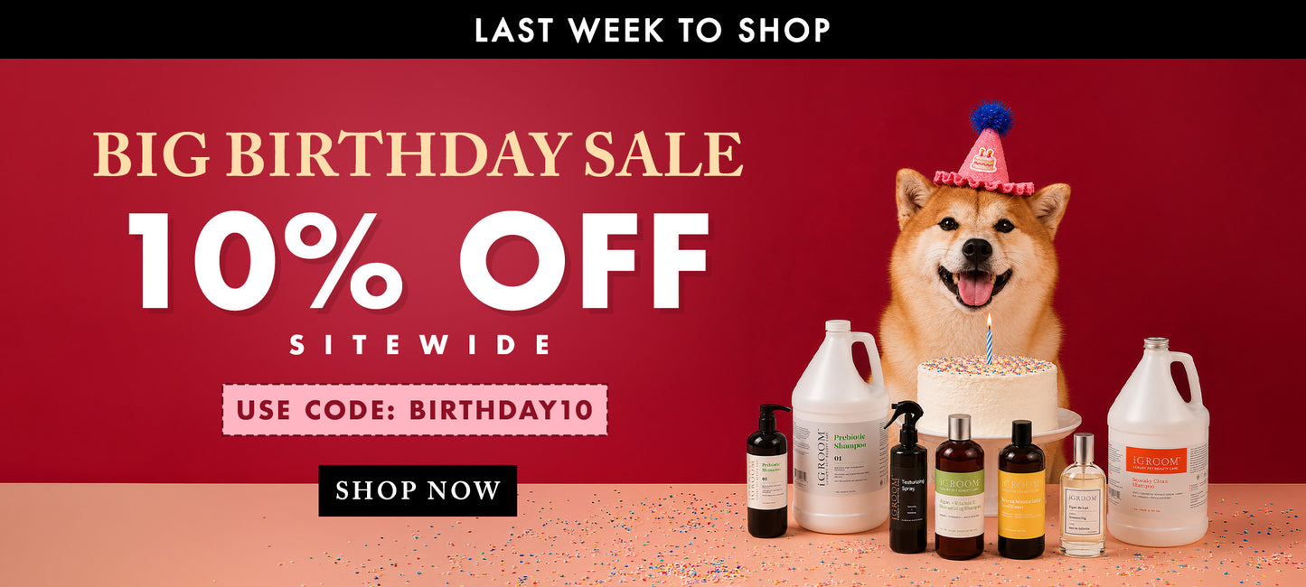 Promotional banner for a Big Birthday Sale with a Shiba Inu dog wearing a party hat and standing behind a birthday cake, alongside several skincare bottles and jugs on a peach surface against a dark red background. Text reads 'LAST WEEK TO SHOP', 'BIG BIRTHDAY SALE', '10% OFF SITEWIDE', 'USE CODE: BIRTHDAY10', and 'SHOP NOW'.