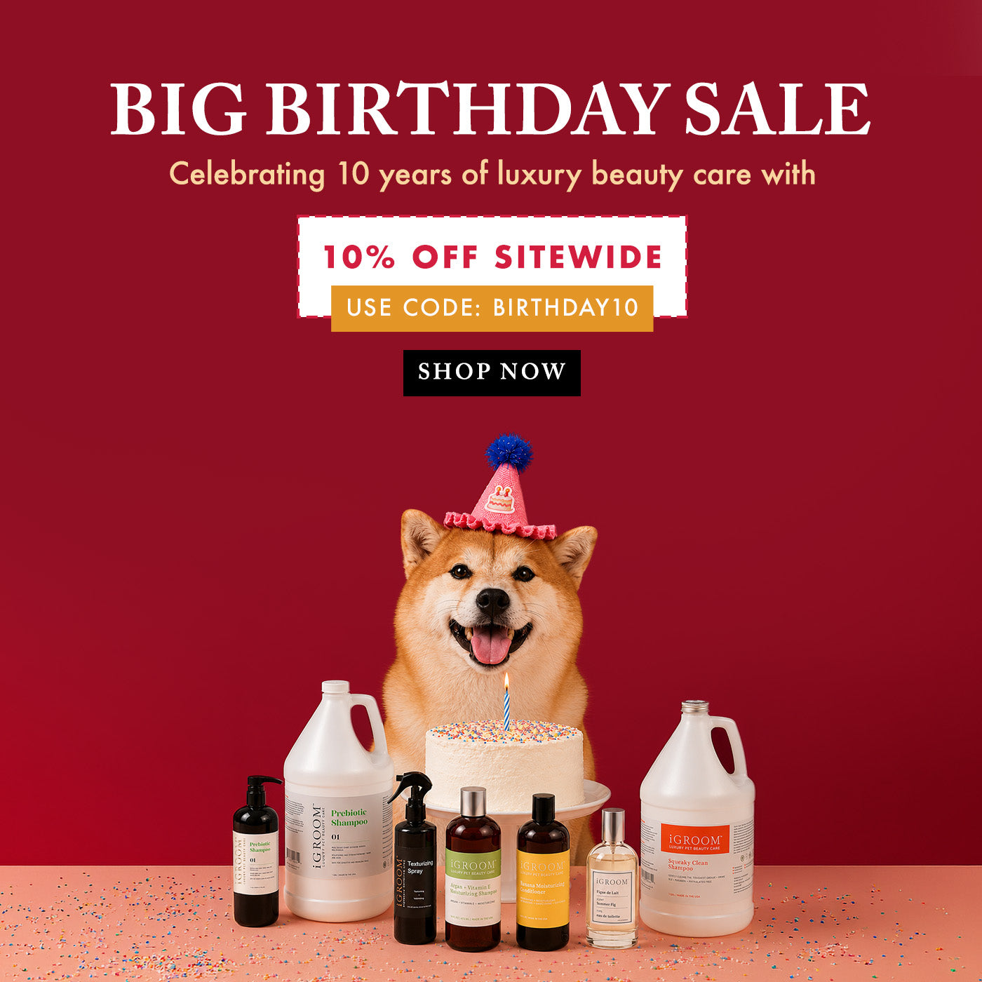 Dog with birthday hat surrounded by pet care products on a red background with sale text.