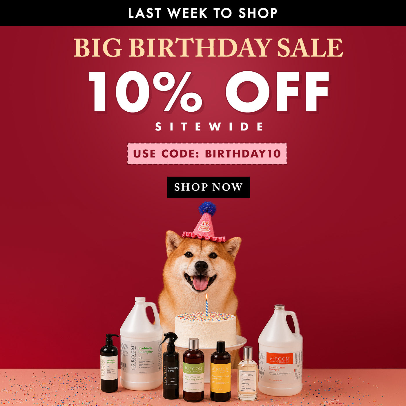 Promotional sale graphic with a Shiba Inu dog wearing a party hat and a birthday cake on a table, with several bottles and jugs in front. Large text reads 'LAST WEEK TO SHOP', 'BIG BIRTHDAY SALE', '10% OFF SITEWIDE', 'USE CODE: BIRTHDAY10', and 'SHOP NOW' on a dark red background.
