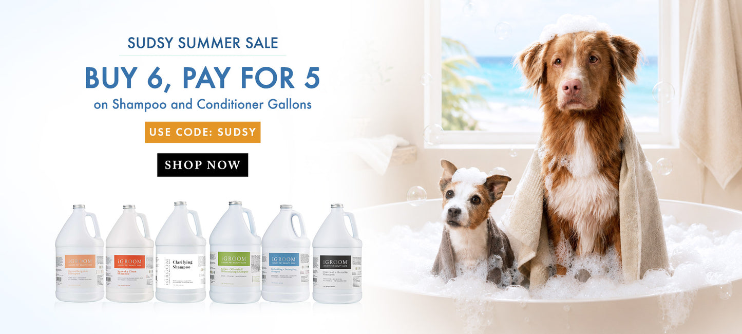 Promotional ad for Sudsy Summer Sale showing a large dog and a small dog in a bubble bath, with six iGroom Shampoo bottles lined up on the left and sale text reading 'BUY 6, PAY FOR 5' on a white background.