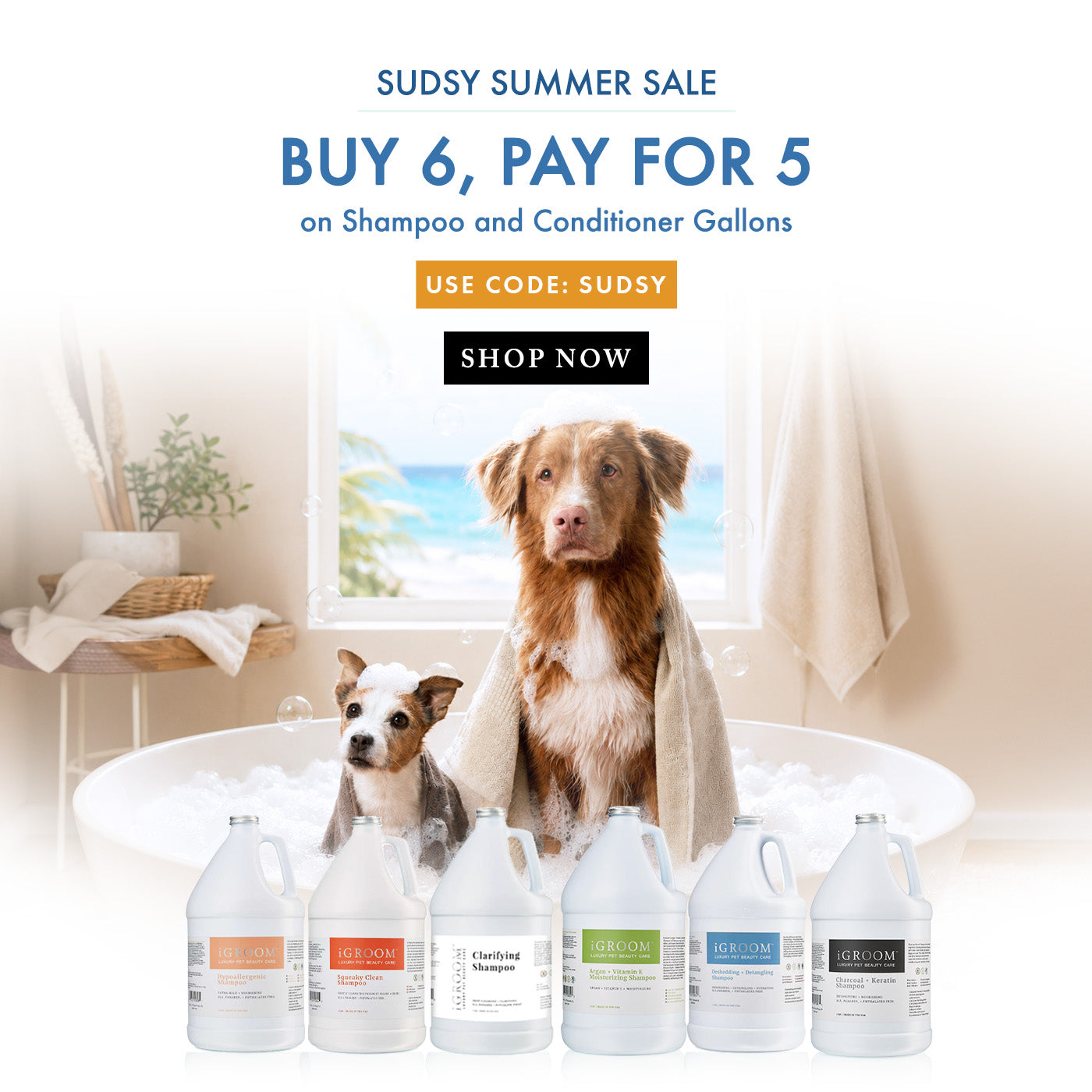 Promotional ad for Sudsy Summer Sale showing a large dog and a small dog in a bubble bath, with six iGroom Shampoo bottles lined up on the left and sale text reading 'BUY 6, PAY FOR 5' on a white background.