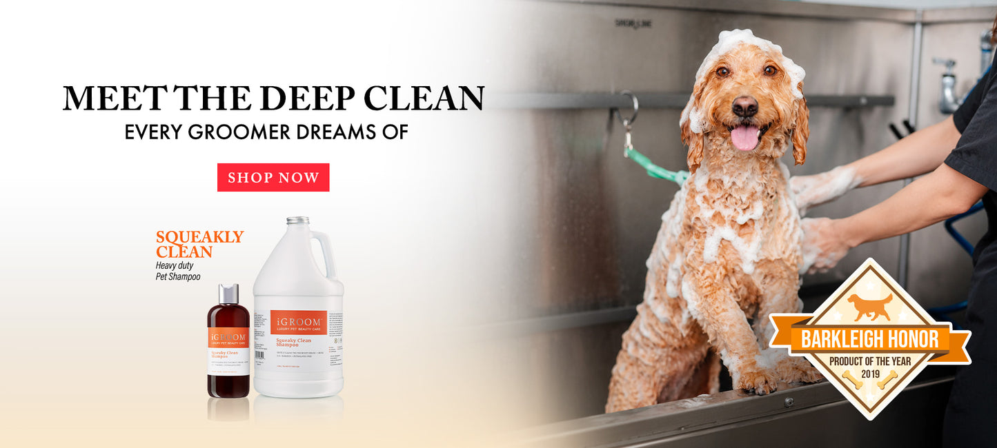 Promotional banner for Squeakly Clean dog grooming products showing a fluffy light brown dog in a foamy bath inside a stainless steel grooming tub, with a person washing the dog. Text on the left reads 'MEET THE DEEP CLEAN EVERY GROOMER DREAMS OF' and 'SHOP NOW,' with two product bottles shown on the left.