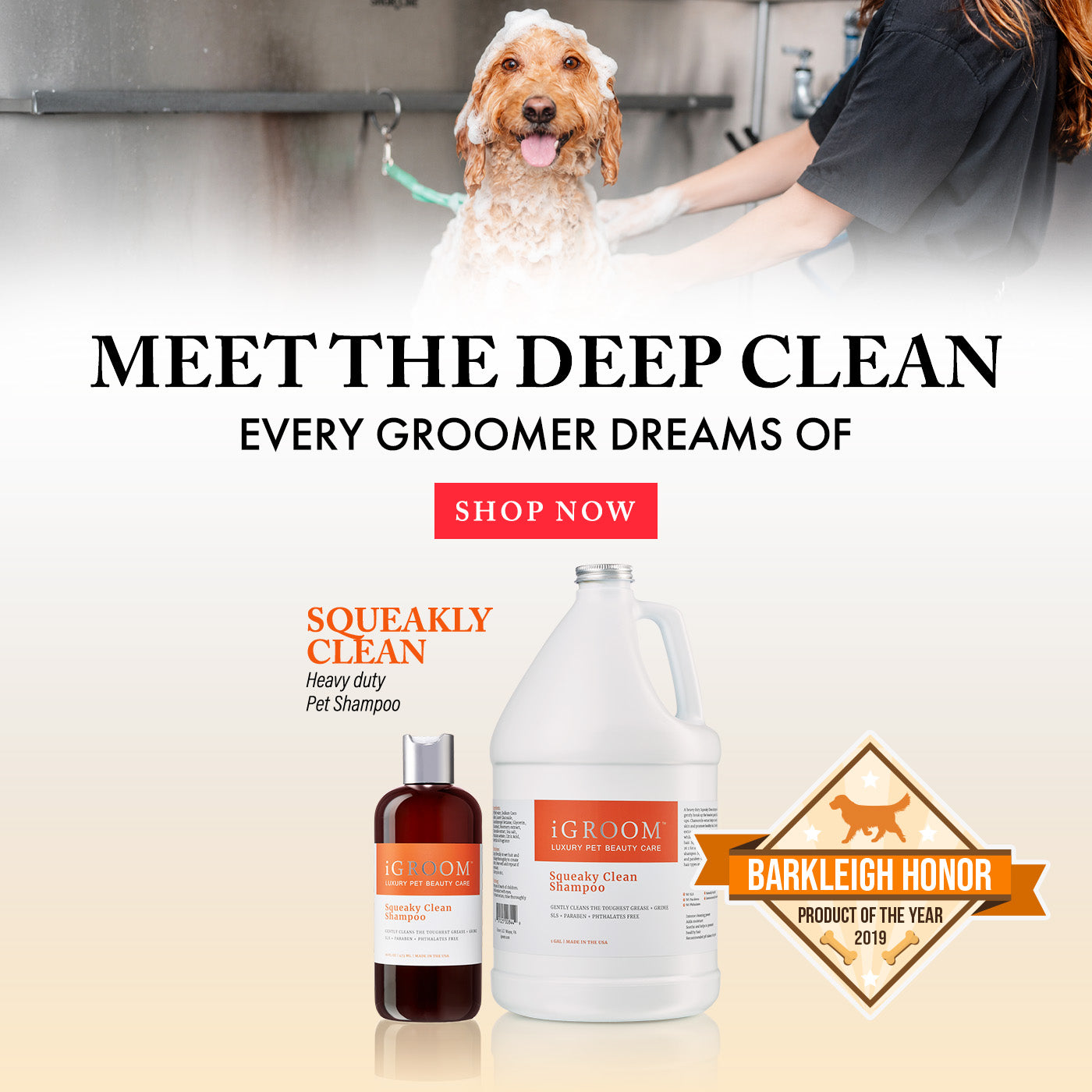 Promotional banner for iGroom Squeakly Clean heavy duty pet shampoo, showing a dog being bathed in the background and two product containers (a small brown bottle and a large white jug) in the foreground, with text reading 'MEET THE DEEP CLEAN' and a Barkleigh Honor badge.