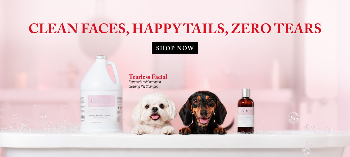 Promotional banner for Tearless Facial dog shampoo showing a large white bottle, a small white dog, a dachshund, and a small amber bottle on a white tub against a pink background, with the text 'CLEAN FACES, HAPPY TAILS, ZERO TEARS' and a 'SHOP NOW' button.