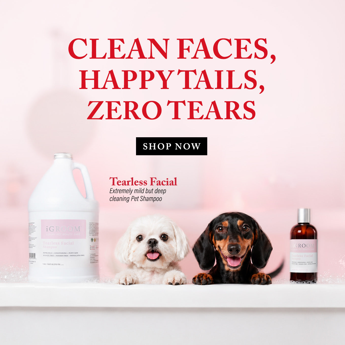 A pet shampoo advertisement featuring a large white bottle and a small amber bottle on a white shelf, with two dogs sitting beside them. Large red text reads 'CLEAN FACES, HAPPY TAILS, ZERO TEARS' with a black 'SHOP NOW' button above.