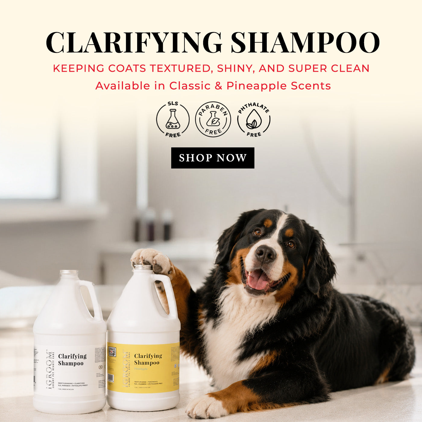 Dog with clarifying shampoo bottles in a bathroom setting, promoting product features.