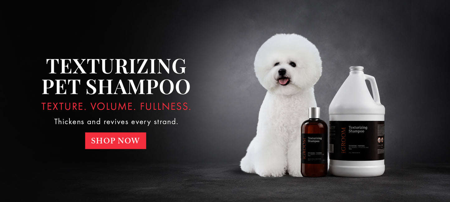 White dog with texturizing pet shampoo bottles on a dark background