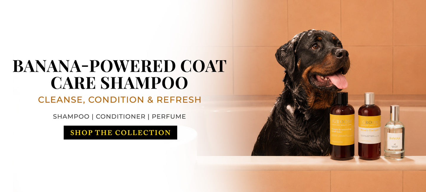 Dog sitting next to banana-powered coat care shampoo bottles on a tiled wall background