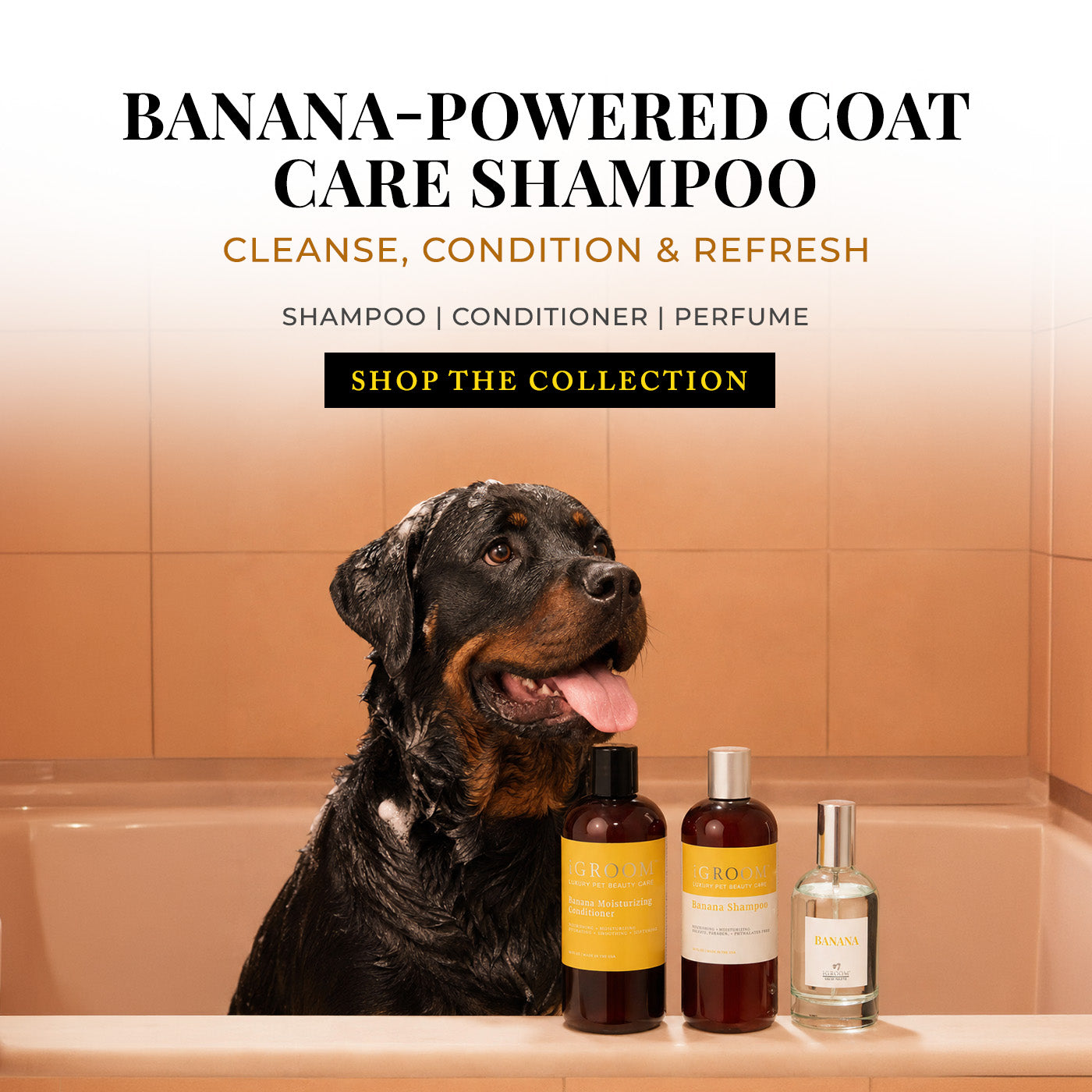 Dog in a bathtub with banana-powered coat care shampoo, conditioner, and perfume bottles.