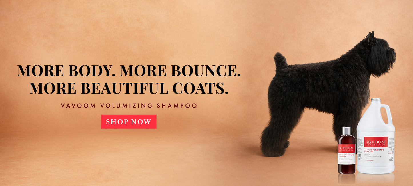 A black dog stands on a warm tan background next to two pet shampoo bottles and a large white jug