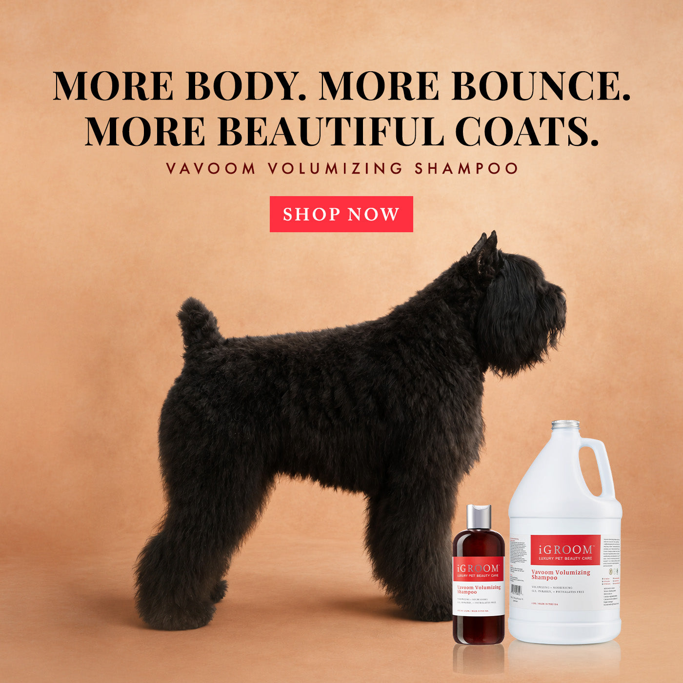 A black dog stands in profile against a warm tan studio background, with Vavoom Volumizing Shampoo products shown beside it