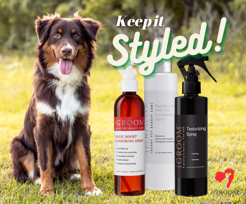 Spray for online dogs in heat