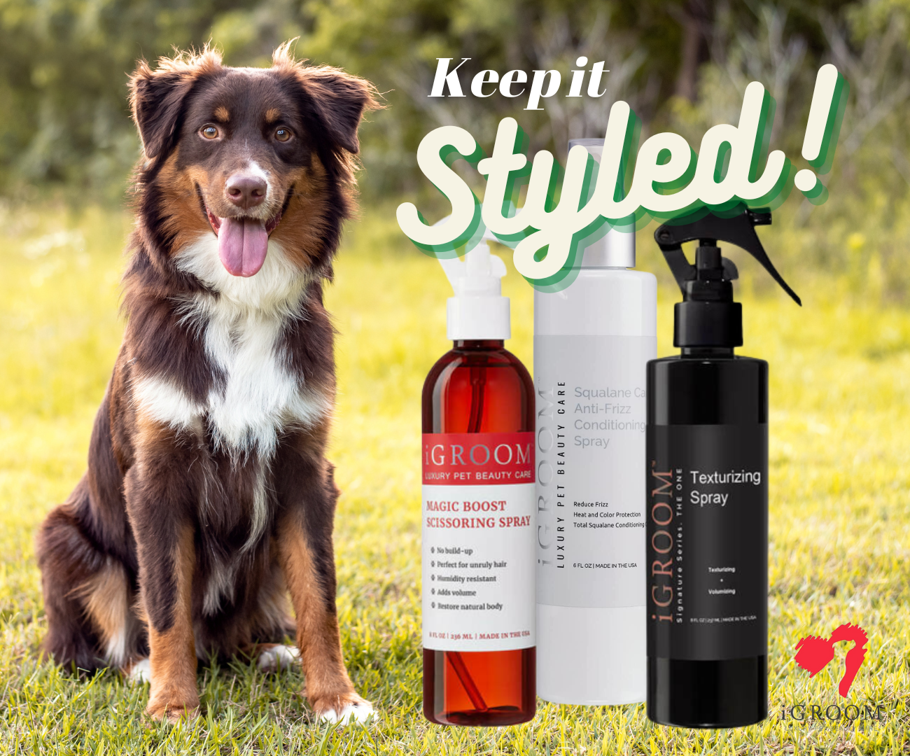 
                  
                    Texturizing Pet Spray
                  
                