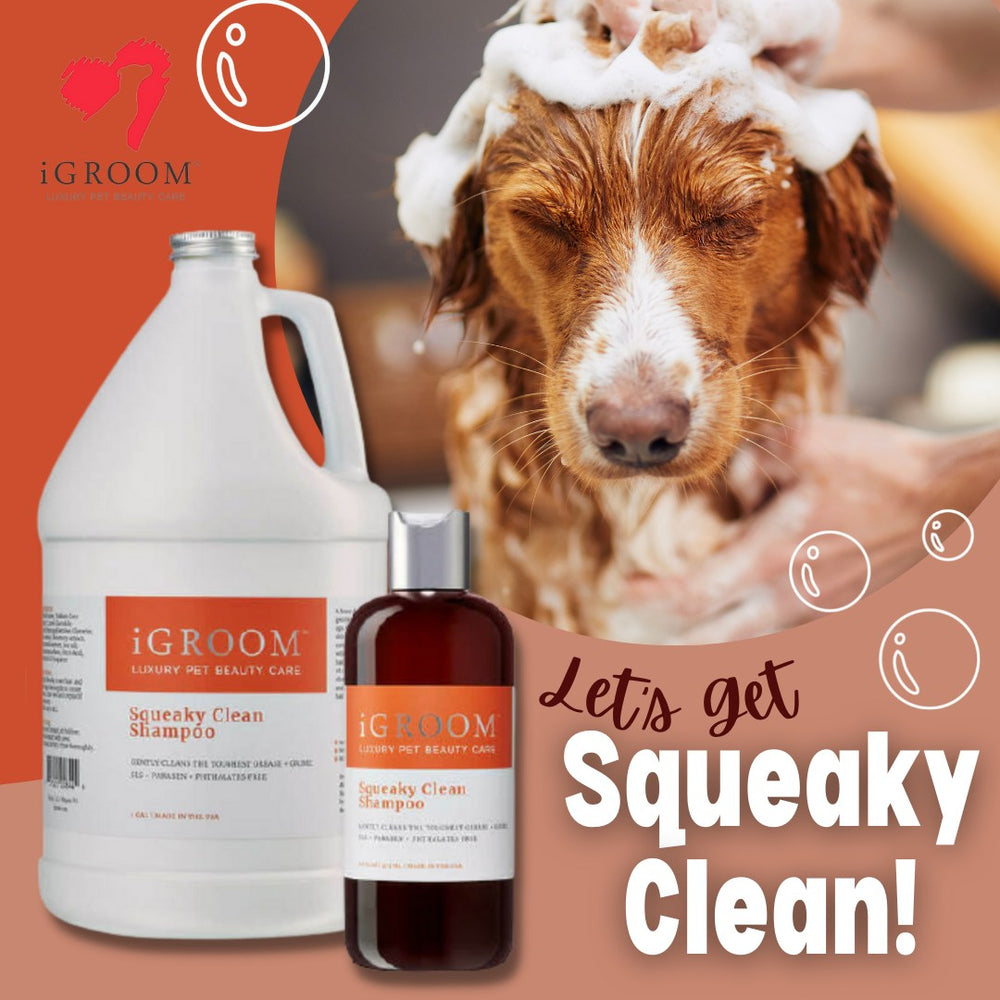 
                  
                    Squeaky Clean Pet Shampoo
                  
                