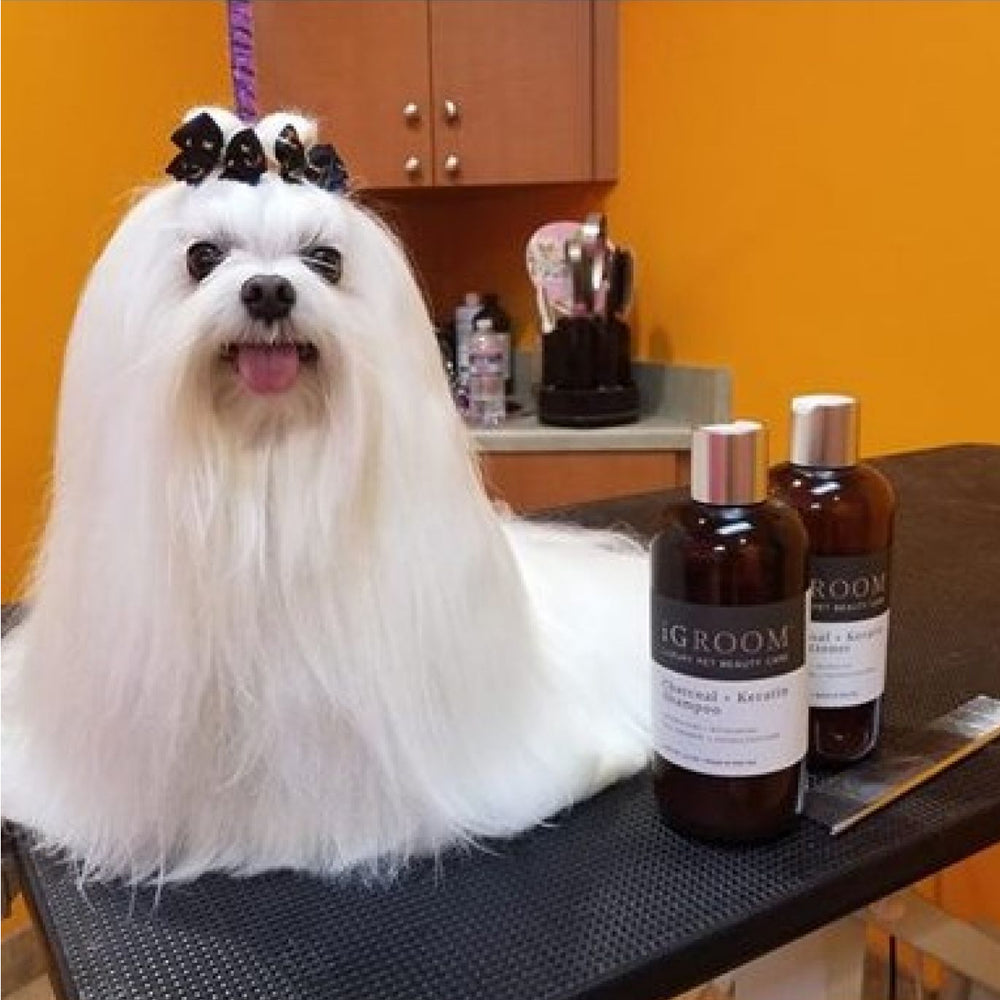 
                  
                    Charcoal + Keratin Pet Shampoo
                  
                