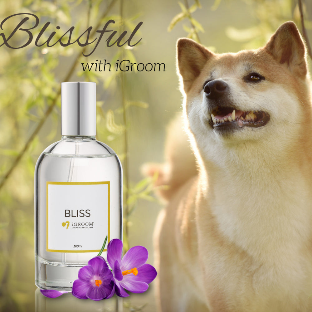 
                  
                    Bliss Dog Perfume - Mild Sweet Scent
                  
                