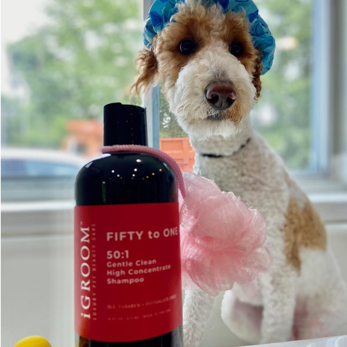 What does a 50:1 dilution ratio in pet shampoo mean for you?! 🫧💛 