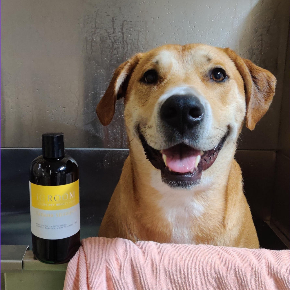 
                  
                    Banana Pet Shampoo
                  
                