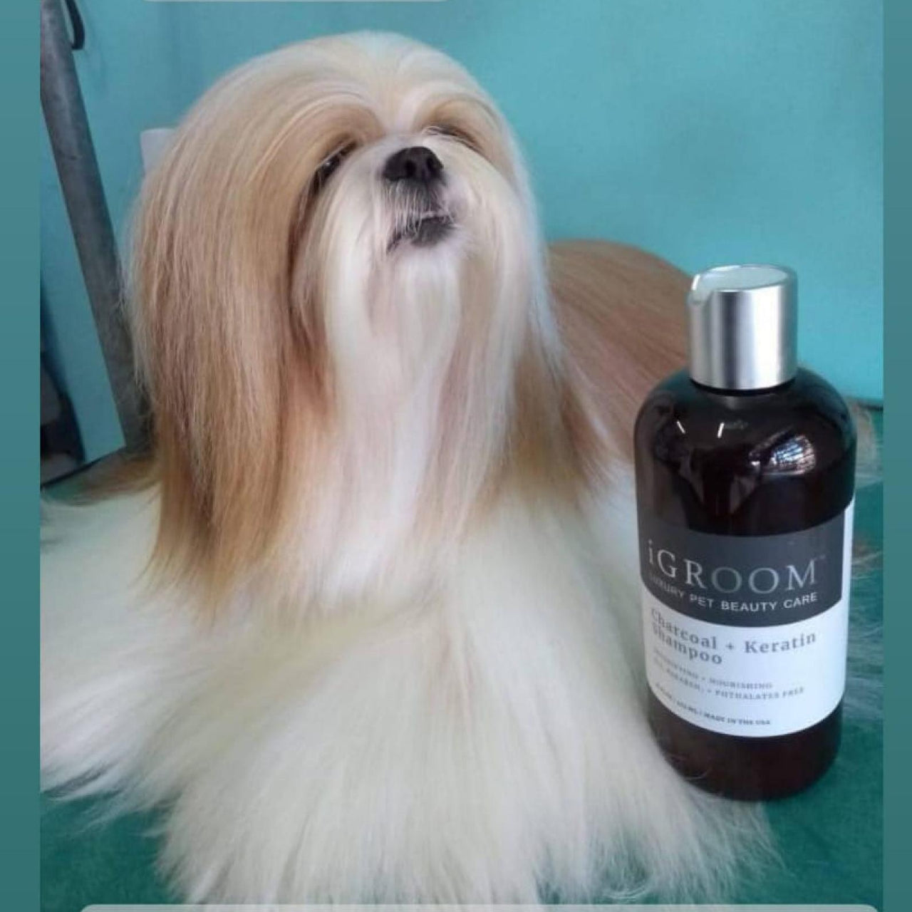 
                  
                    Charcoal + Keratin Pet Shampoo
                  
                