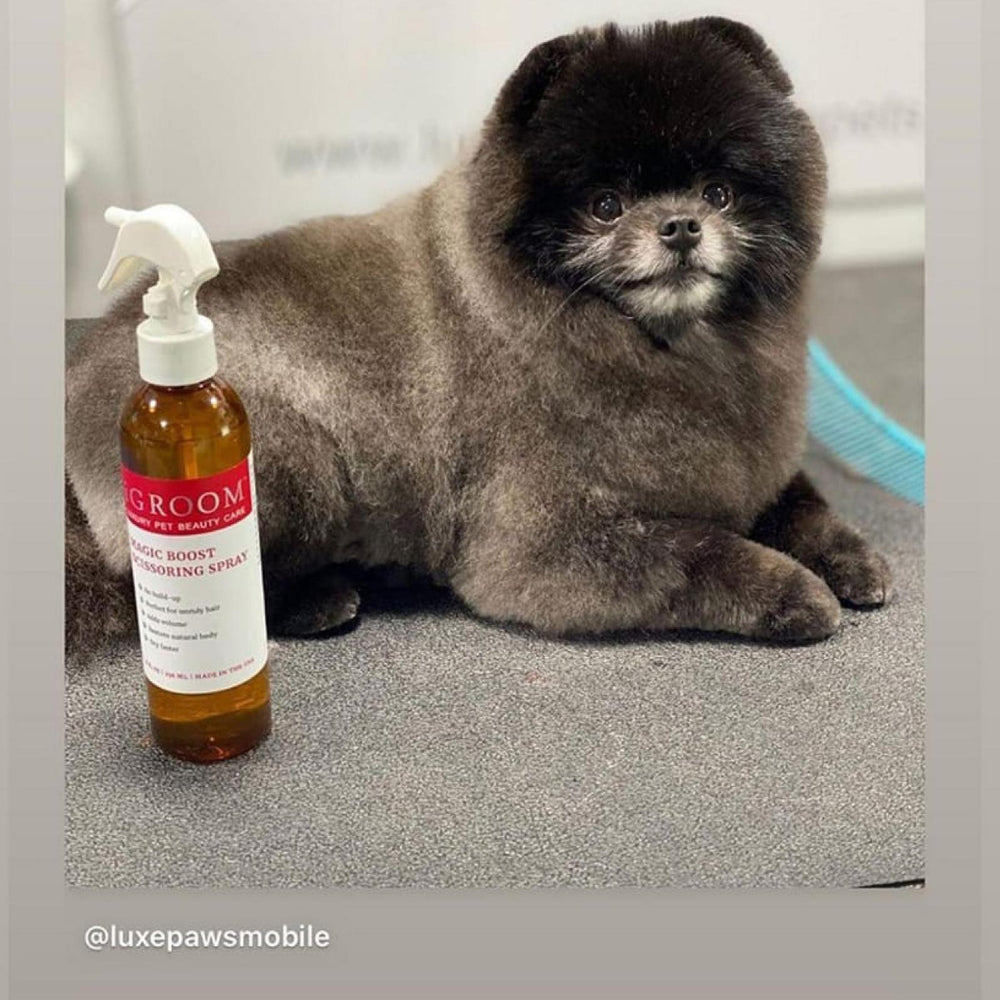 Magic Boost Scissoring Pet Spray