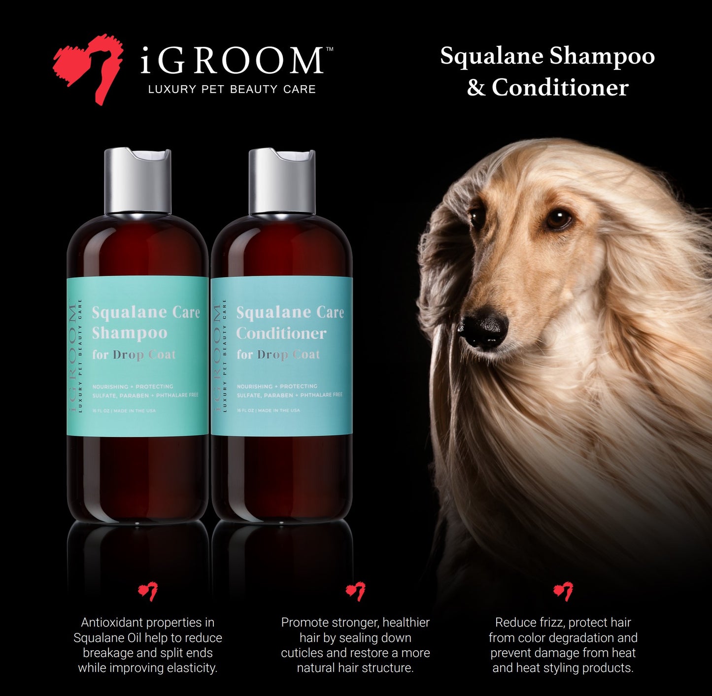 
                  
                    Squalane Care Pet Shampoo
                  
                
